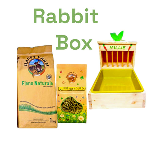 Rabbit Box